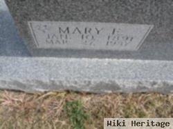 Mary E Fringer