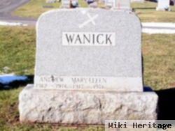 Andrew M Wanick