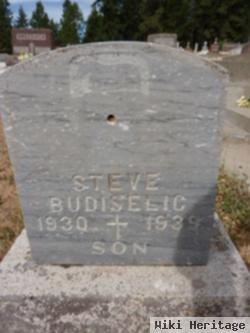 Steve Budiselic