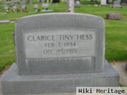 Clarice Irene "tiny" Brasher Hess