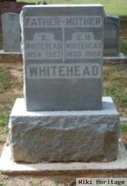 Elizabeth Haynes Whitehead