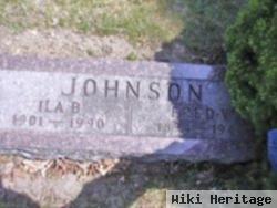 Ila B Johnson