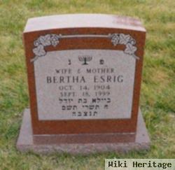 Bertha Braunstein Esrig