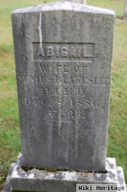 Abigail Cooper Blakeslee