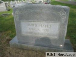 David Hayes