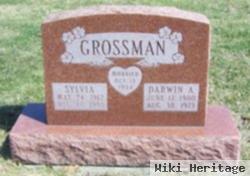 Sylvia Mcgrew Grossman