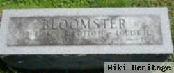 Louise H Bloomster