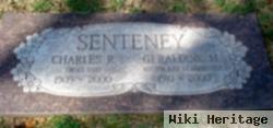 Geraldine M Senteney