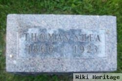 Thomas Shea