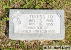 Teresa Jo Hein