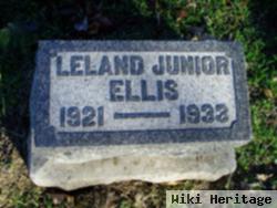 Leland Ellis