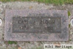 Carl Aaron Bloom