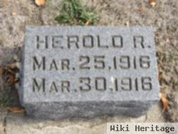 Herold R. Auringer