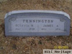 James Albert Pennington