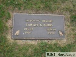 Sarah Ann Richard Budd