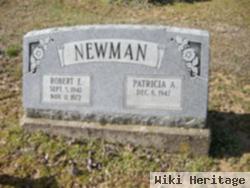 Robert E Newman