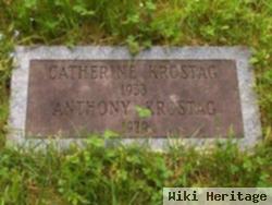 Anthony Krostag