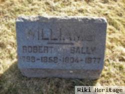 Sally Ann Brown Williams