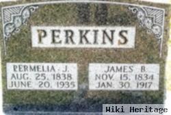 Permelia Jane Crews Perkins