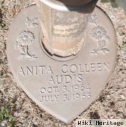 Anita Colleen Audis