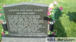 Connie Fay Hill James