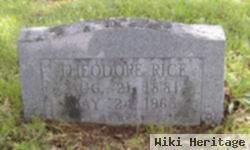 Theodore Rice