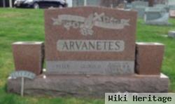 Peter Arvanetes