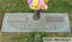 William Sturgeon, Sr