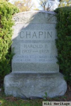 Mary Ann Edwards Chapin