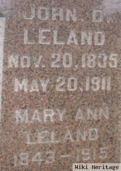 Mary Ann Judd Leland