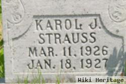 Karol J Strauss