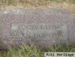 Gustav E Levin