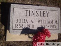 Julia Ann Clevenger Tinsley