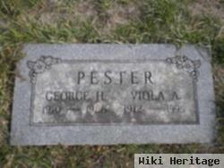 George Henry Pester