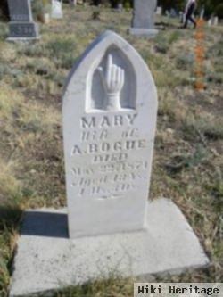 Mary Haworth Bogue