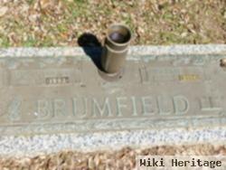 Donald D Brumfield