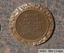 Berihu Aregawi