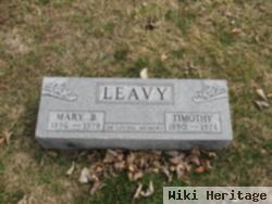 Timothy Leavy