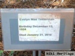 Evelyn Mae Taylor Testerman