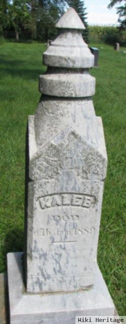 Kaleb Norgren