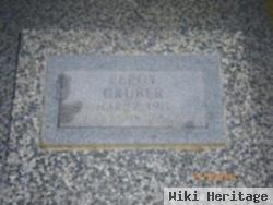 Leroy Fred Gruber