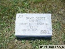 David Scott Reed