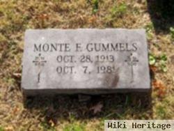 Monte F Gummels