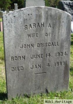 Sarah A. Driscall