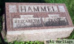 Frank M Hammel