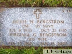 Julius Harold Bergstrom