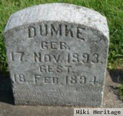 Friedrich K H Dumke