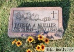 Patricia Ann Mueller