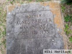 Agnes Noack Brieger