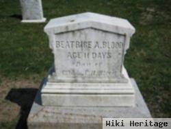 Beatrice Annie Blood